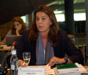 Intervención de Elvira Saint-Gerons ante el Pleno del CGCEE.