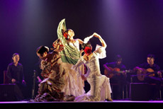 Los miembros del grupo del Centro Flamenco ‘Semilla’ ofrecieron su espectáculo ante más de 300 personas.