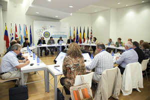 Reunión de la Comisión Delegada del Consello de Comunidades Galegas del 24 de julio que analizó el borrador de decreto.