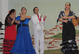 Un momento de la actuación del grupo Estampa Flamenca.