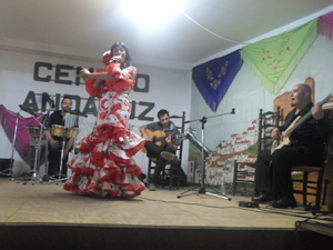 ‘Color Flamenco hizo bailar a todos con sus canciones.