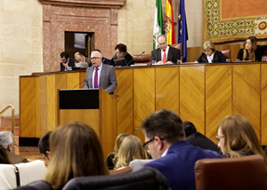 Sánchez Maldonado, durante su intervención en el debate final de la ley celebrado en el Parlamento.