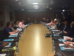 Reunión del pleno del Consejo de Comunidades Asturianas, presidida por el consejero Guillermo Martínez (centro a la izquierda).