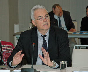 Intervención de Ángel Luis Sánchez en el V Pleno del VI Manadato del CGCEE.