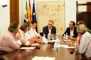 Juan Parejo, al fondo, en la reunión con los representantes de las casas extremeñas.