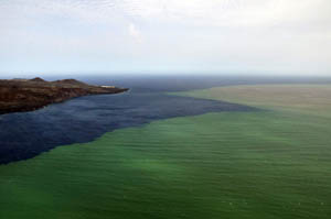 Imagen facilitada por el Gobierno de Canarias, que corresponden a vistas aéreas de la erupción submarina de El Hierro.