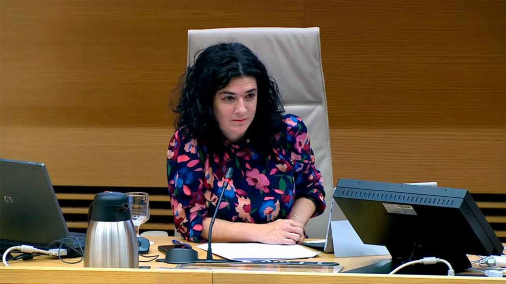 Isabel Castro Fernández en el Congreso de los Diputados el pasado 20 de octubre.