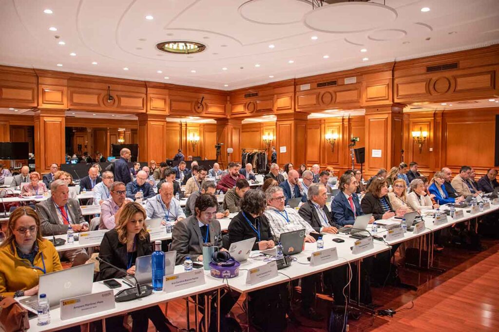 Vista del anterior pleno que se celebró en Madrid en abril de 2025.