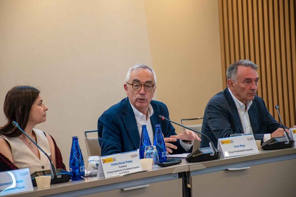 El senador y responsable del PSOE Exterior, César Mogo, durante su intervención ante el CGCEE.