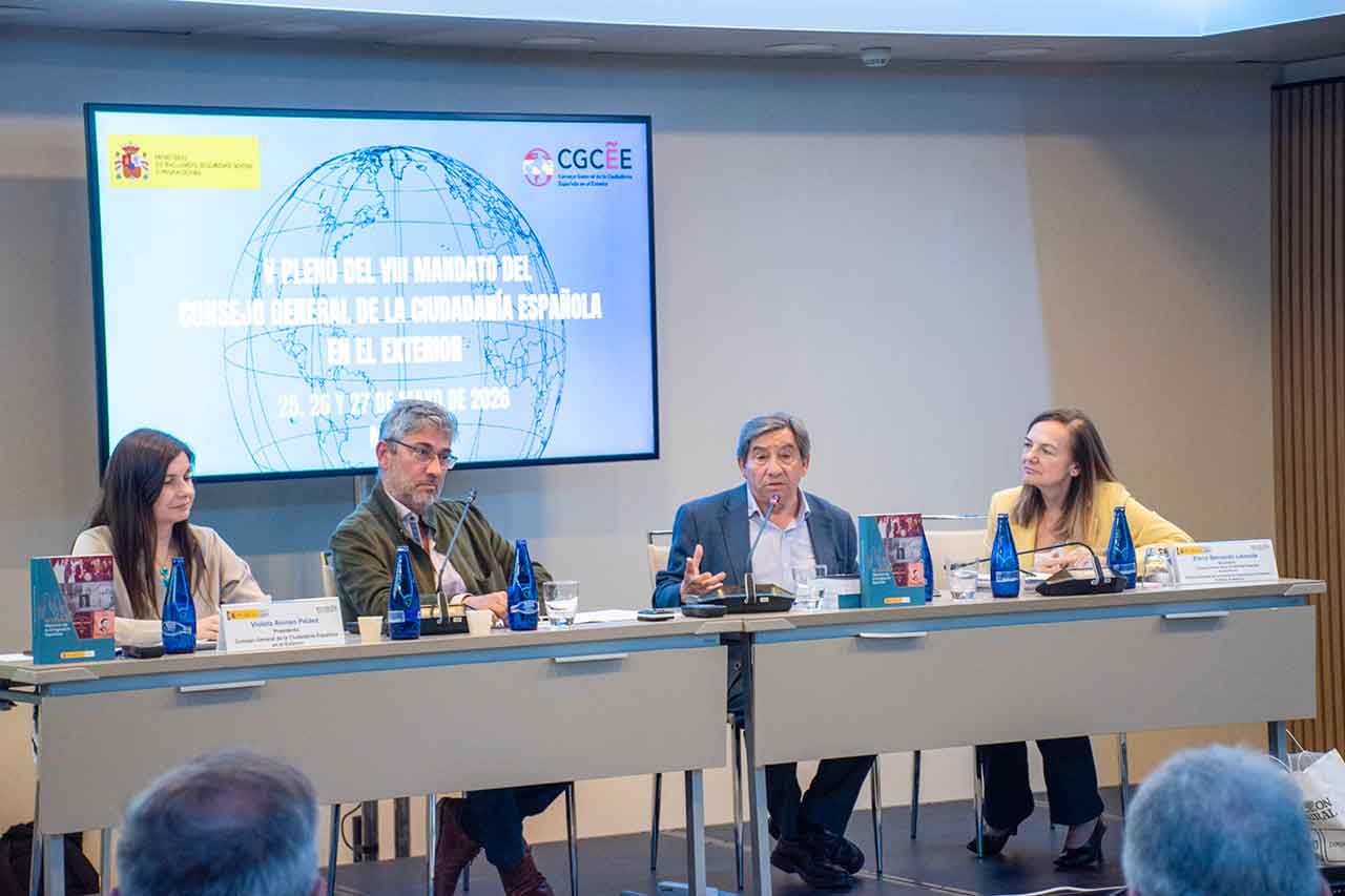 V Pleno del VIII Mandato del CGCEE