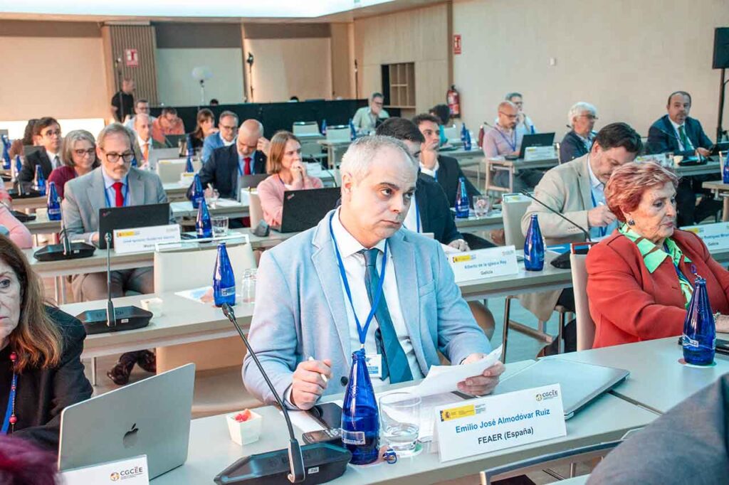 El representante de Feaer, Emilio Almodóvar, en el V Pleno del V Pleno del VIII Mandato del CGCEE.