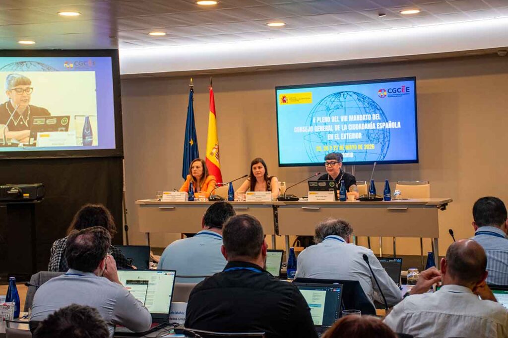 Pleno del CGCEE celebrado en Madrid a finales de mayo.